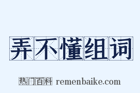 弄不懂组词是什么意思的图片